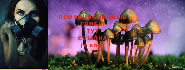 а пвп мука Балахна