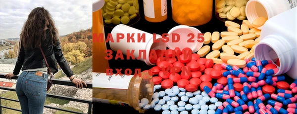 прущие грибы Ростов